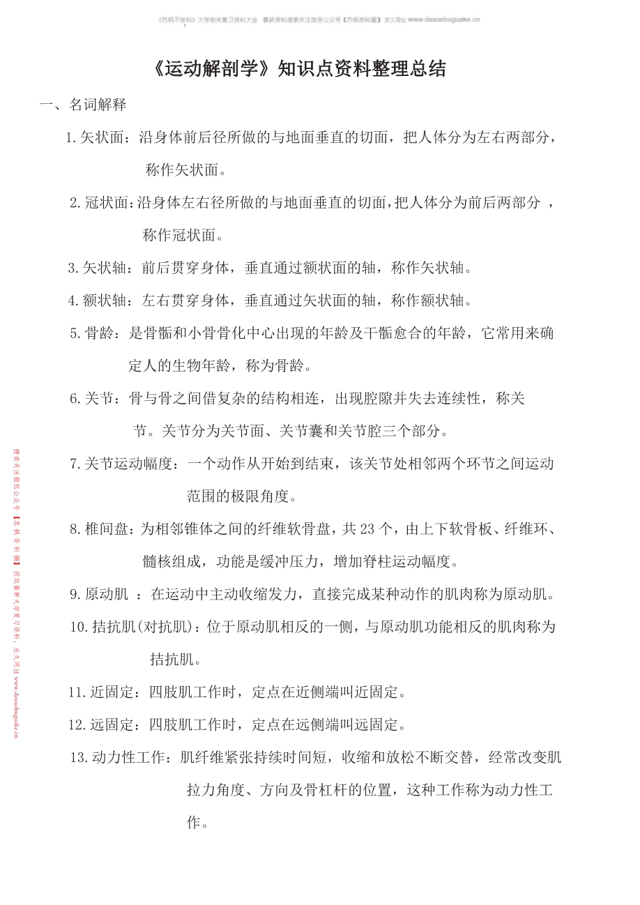 运动解剖学