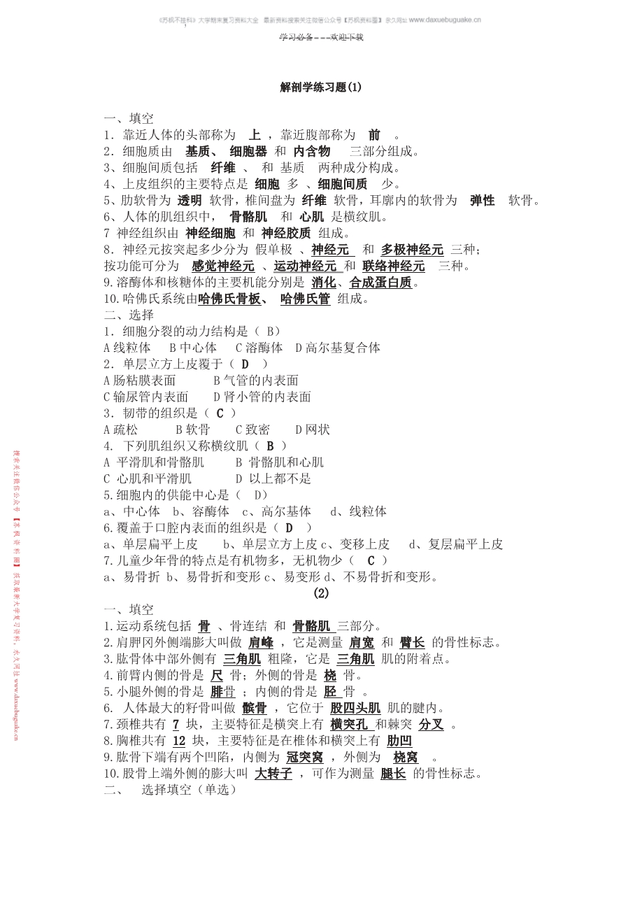 运动解剖学