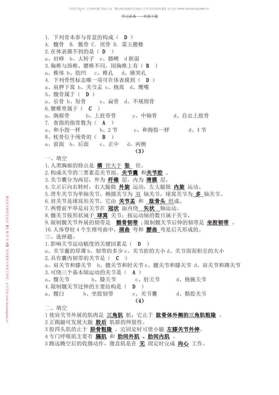 运动解剖学
