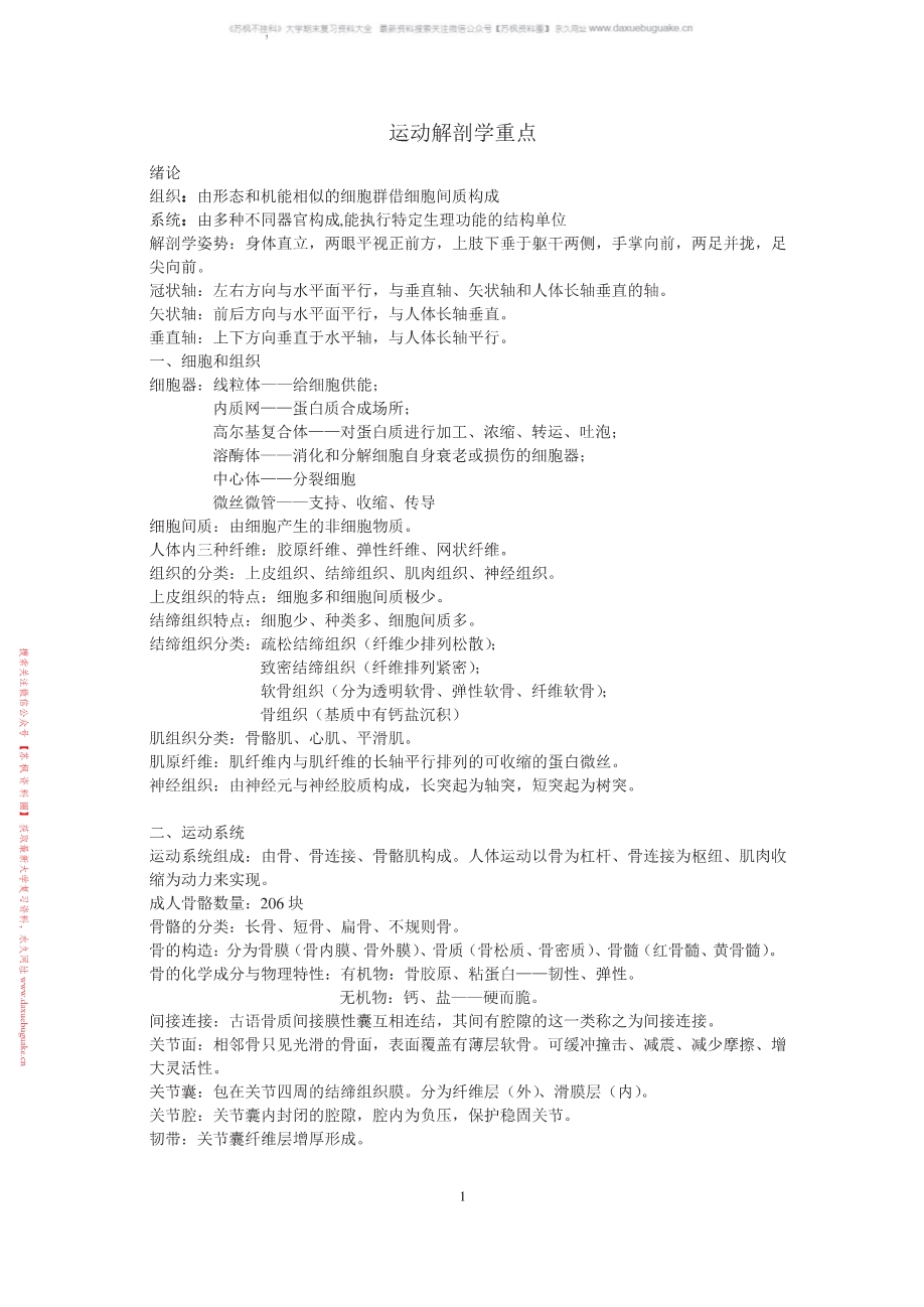 运动解剖学