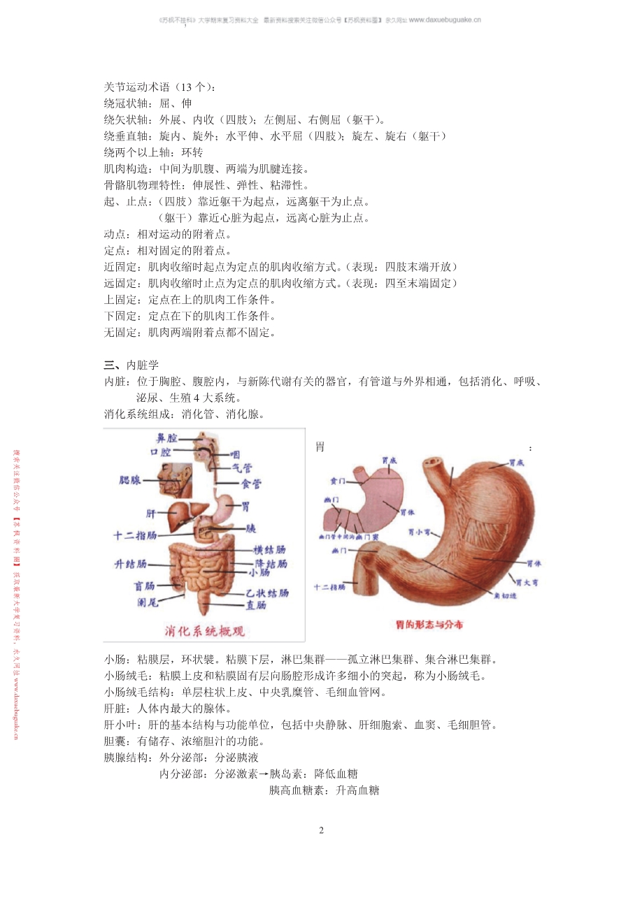 运动解剖学
