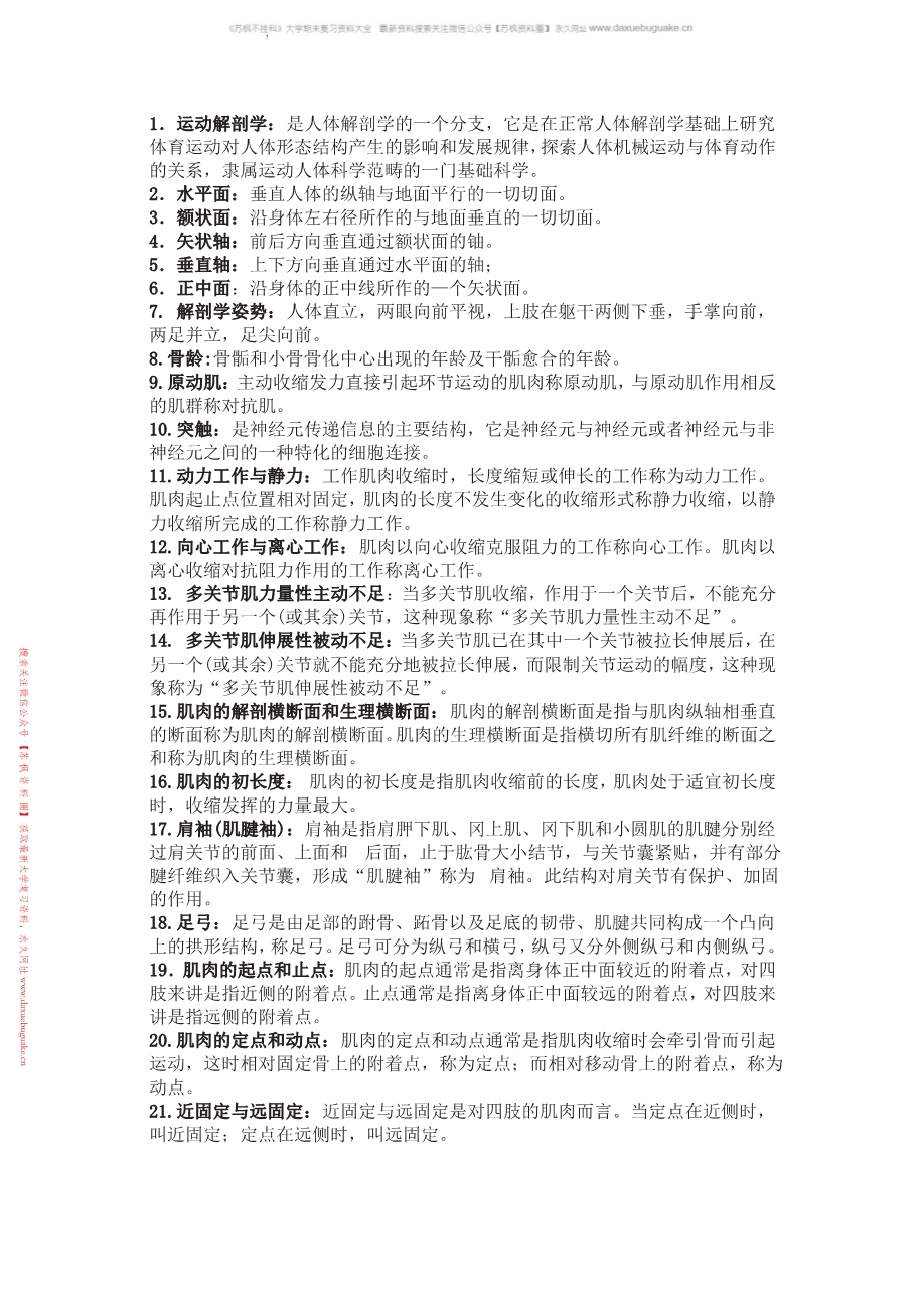 运动解剖学