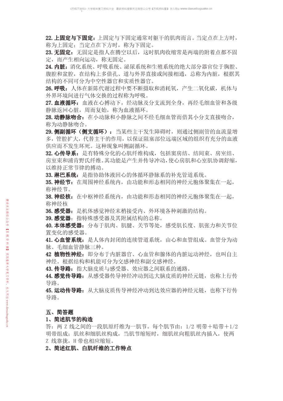 运动解剖学