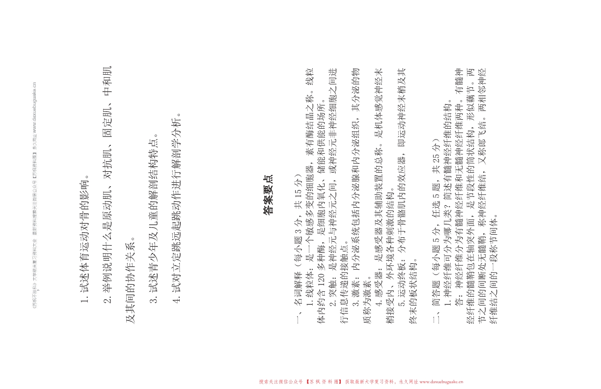 运动解剖学