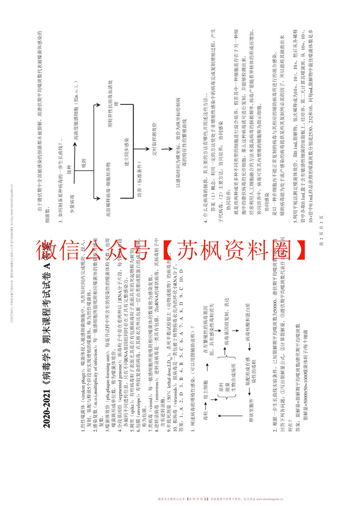 病毒学