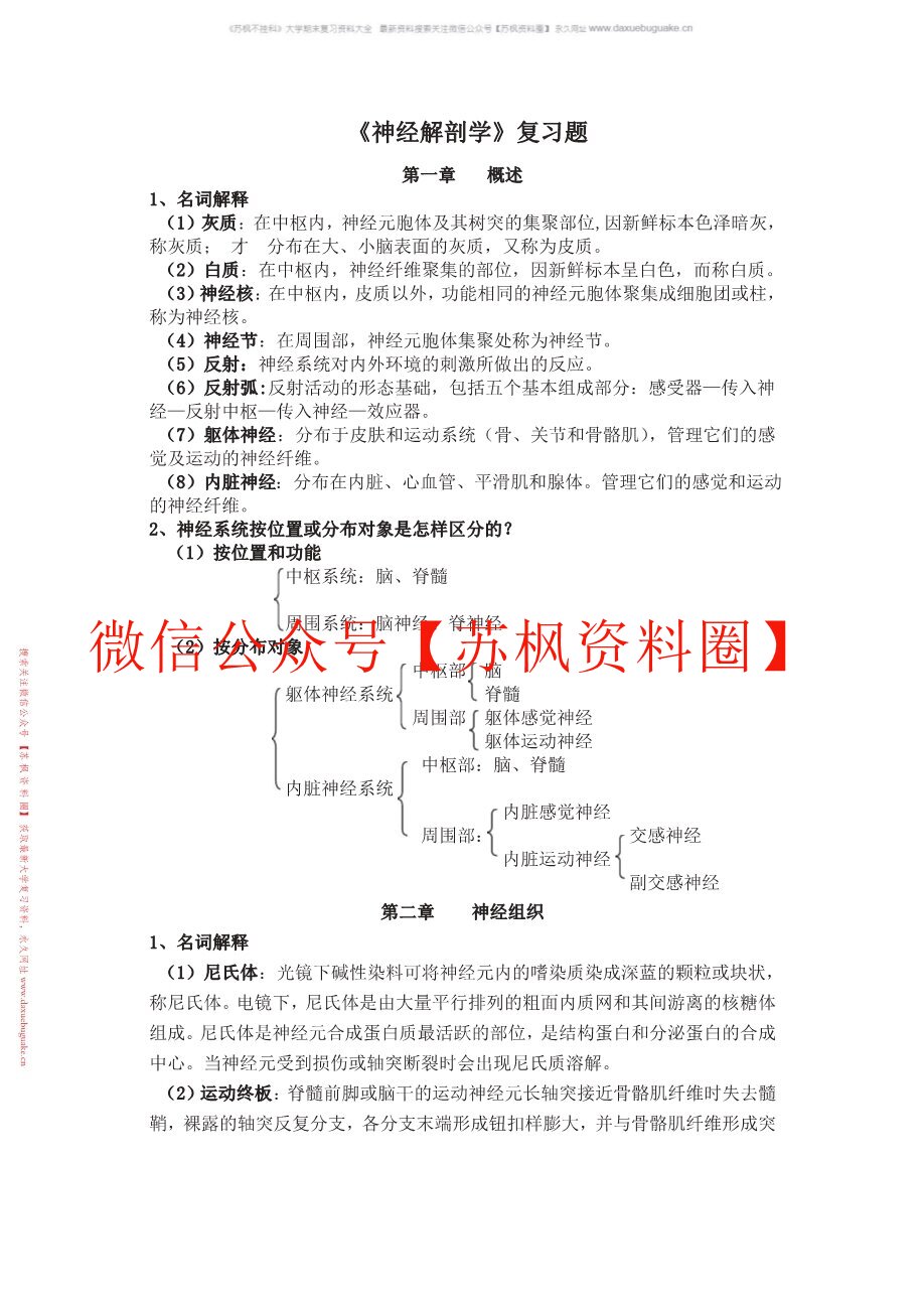 神经解剖学