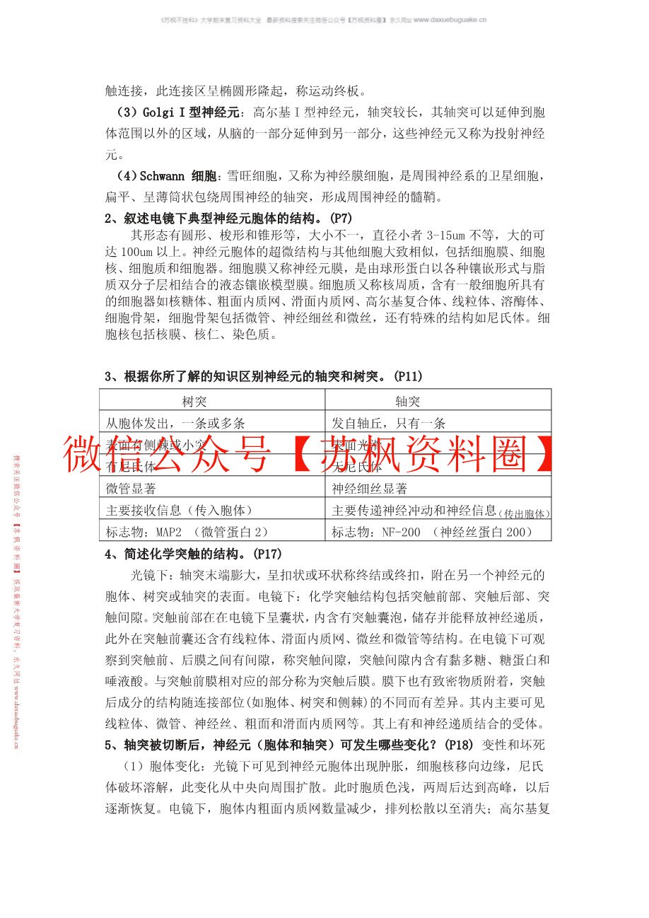 神经解剖学