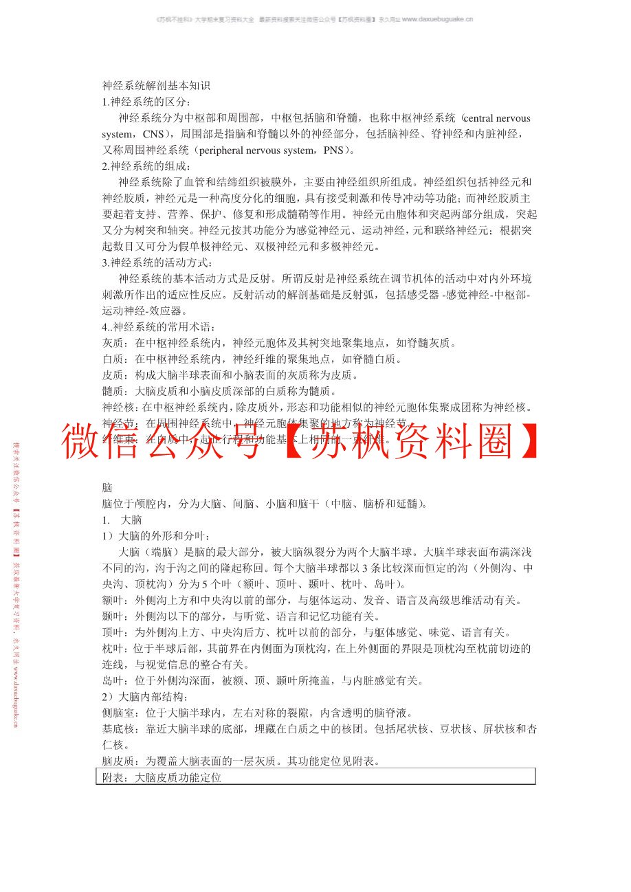 神经解剖学