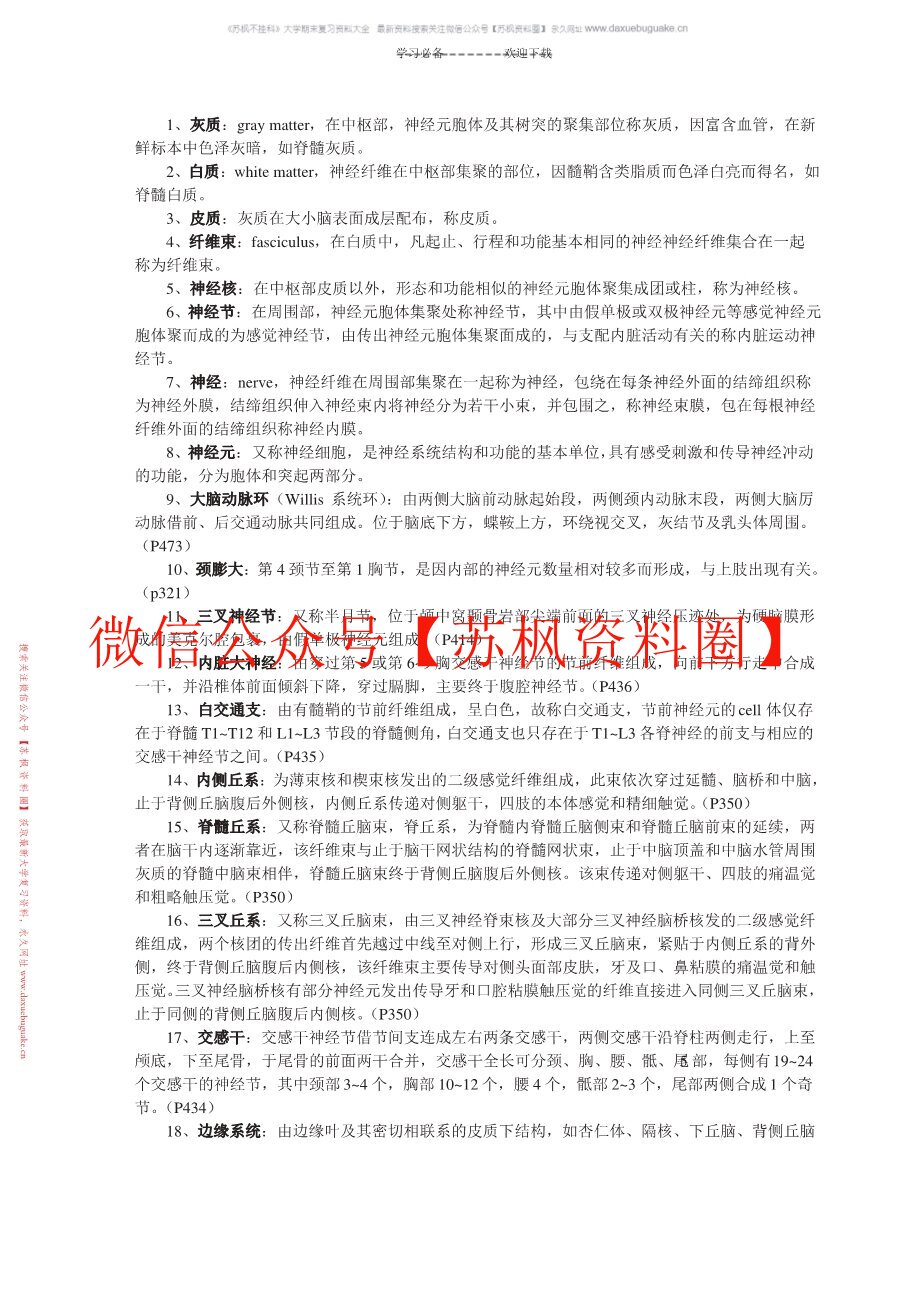 神经解剖学