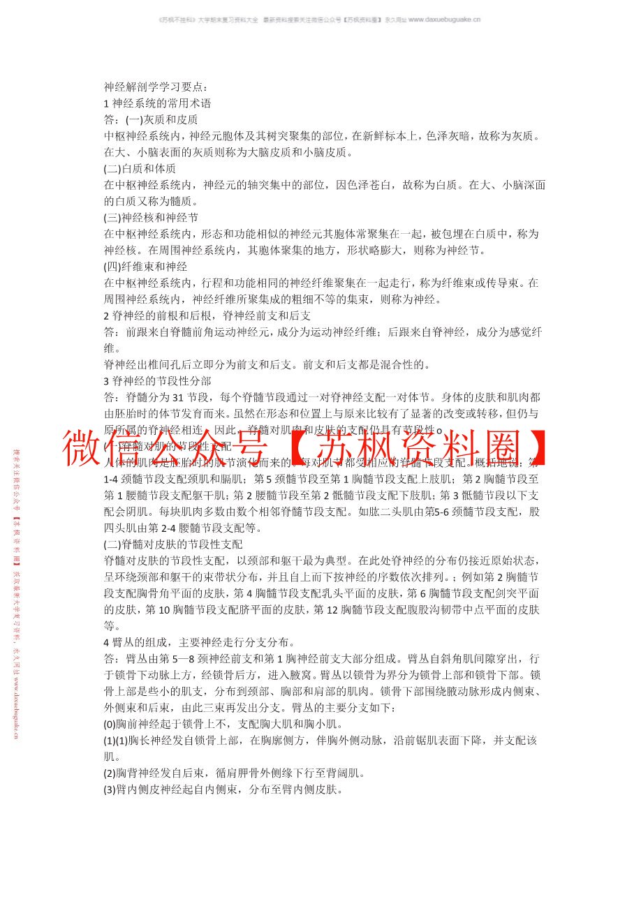 神经解剖学