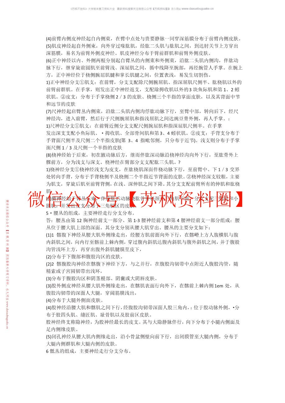 神经解剖学