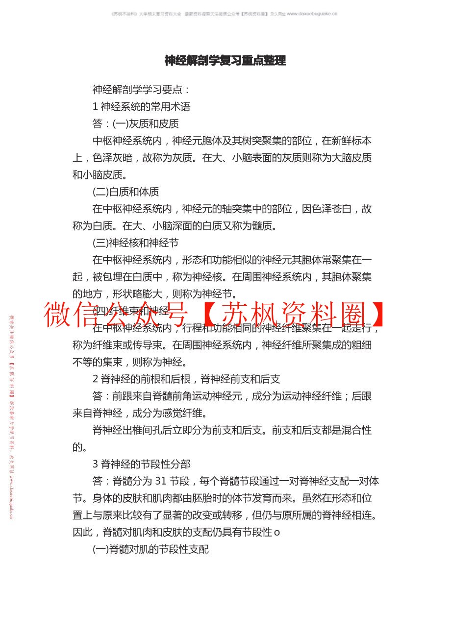 神经解剖学