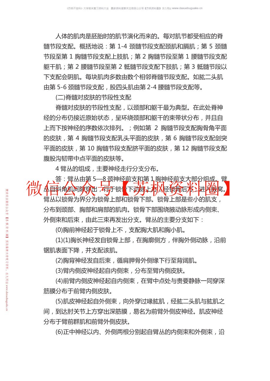 神经解剖学
