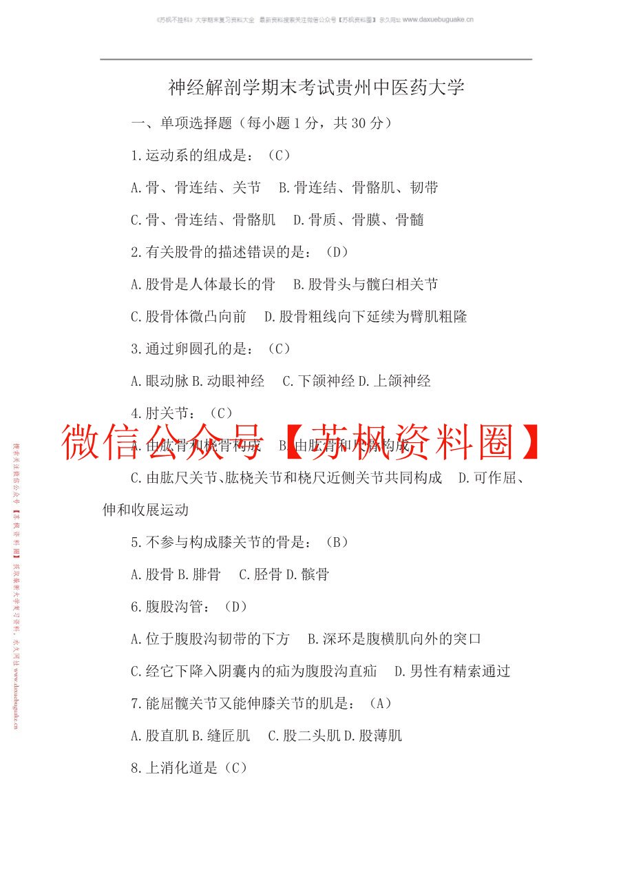 神经解剖学