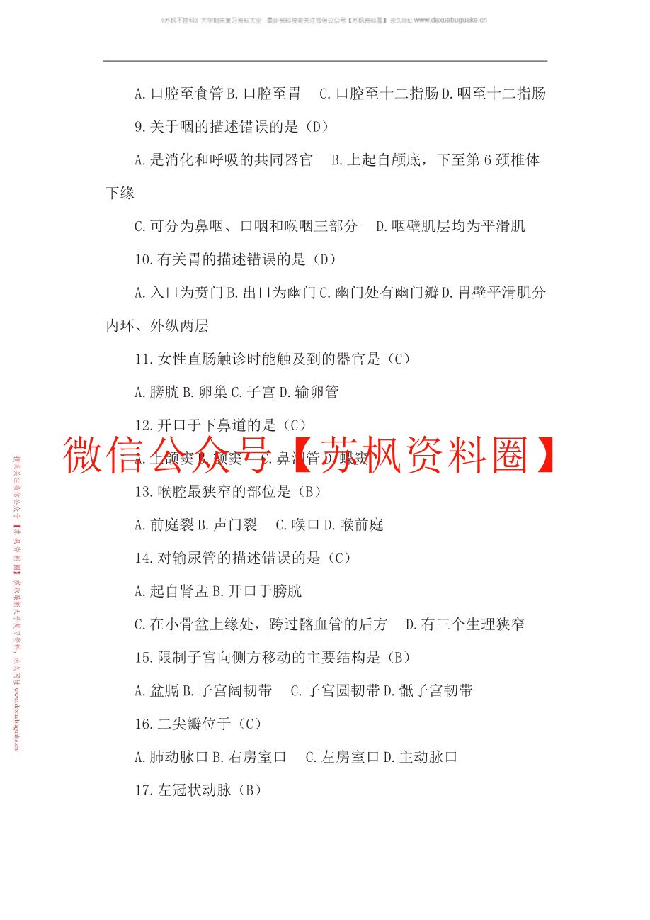 神经解剖学