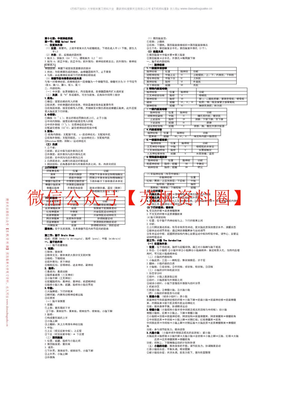 神经解剖学