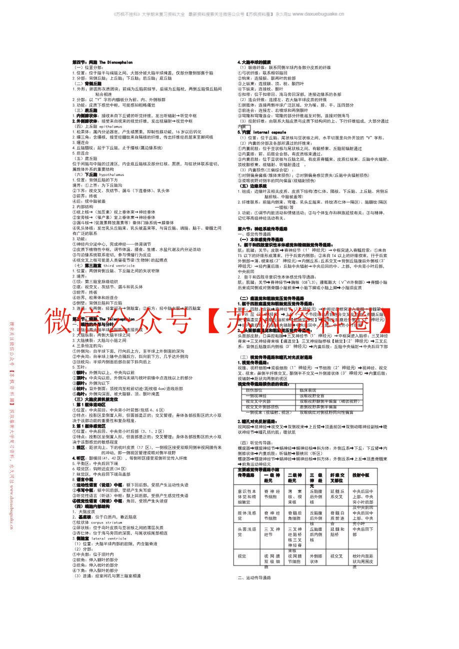神经解剖学
