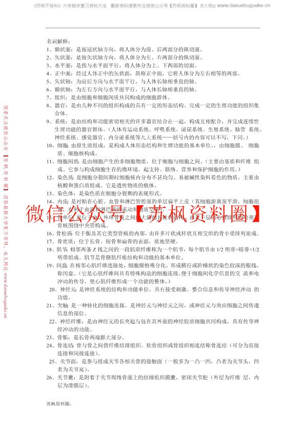 运动解剖学
